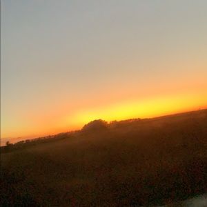 Meet your Posher, Lena